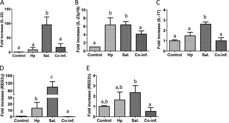 FIG 3