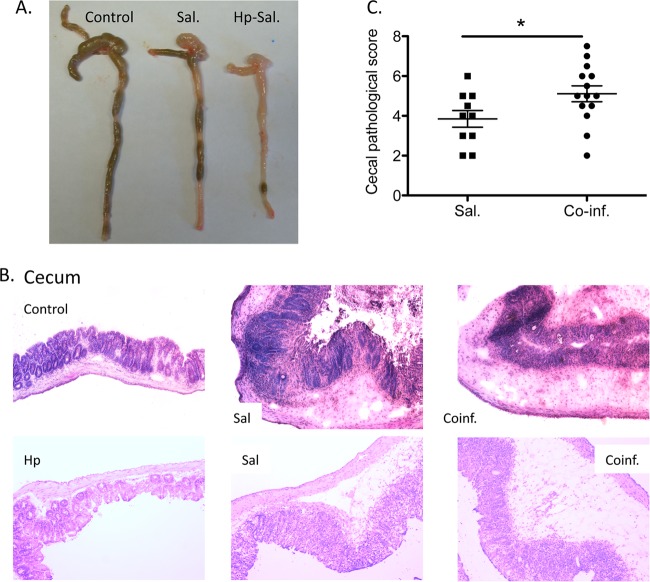 FIG 1