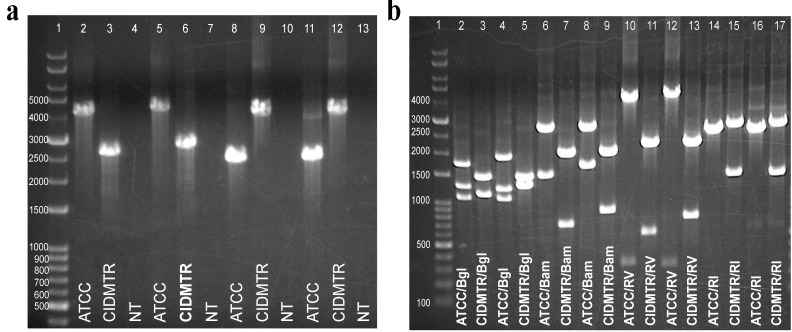 Figure 6