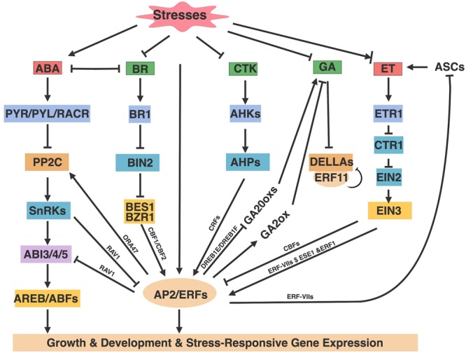 FIGURE 3