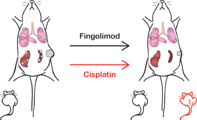 Image, graphical abstract