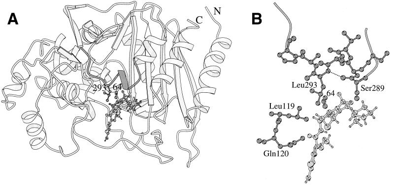 FIG. 1.