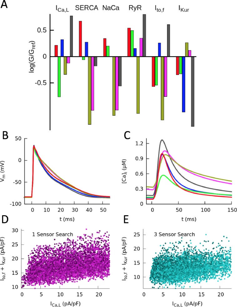 Figure 3—figure supplement 3.