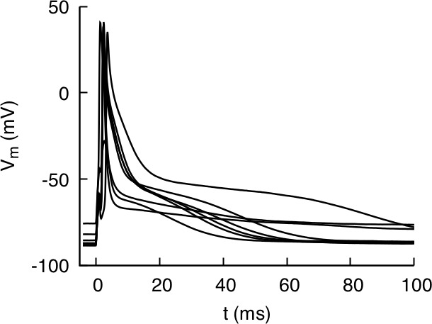 Figure 5—figure supplement 1.