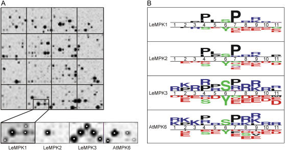 Figure 5.