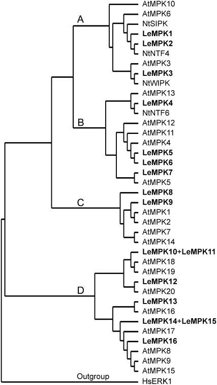 Figure 2.