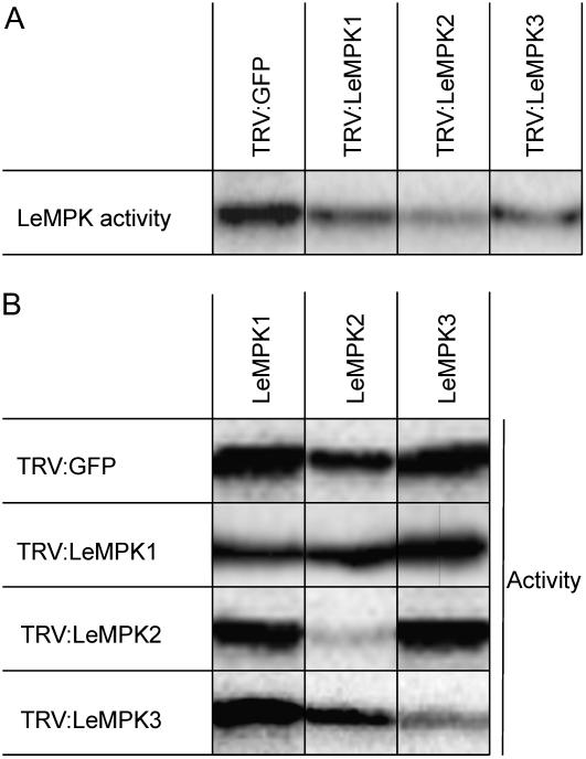 Figure 6.