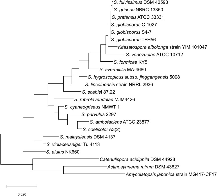 Figure 2