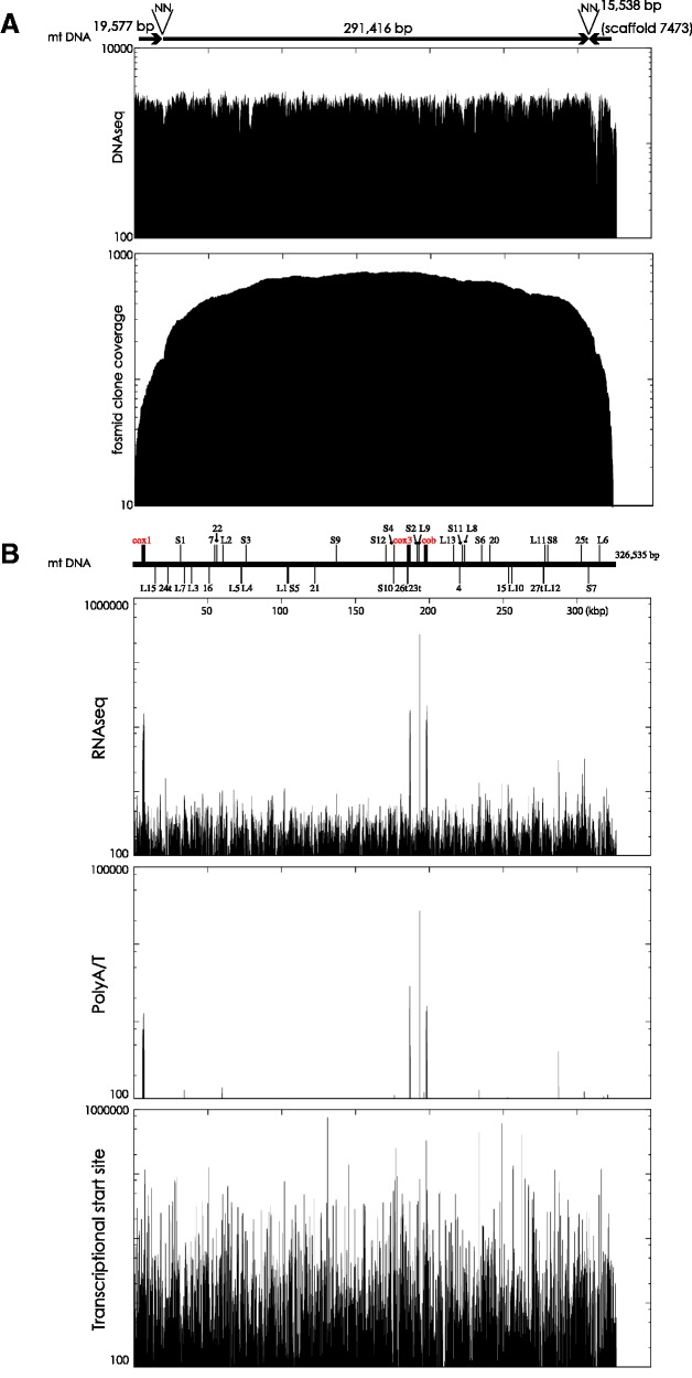 Fig. 1.—