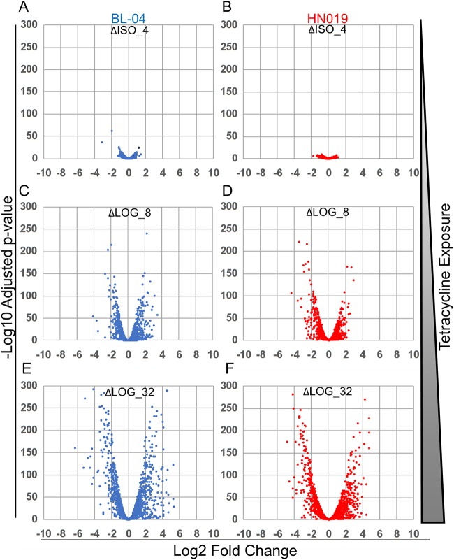 FIG 5