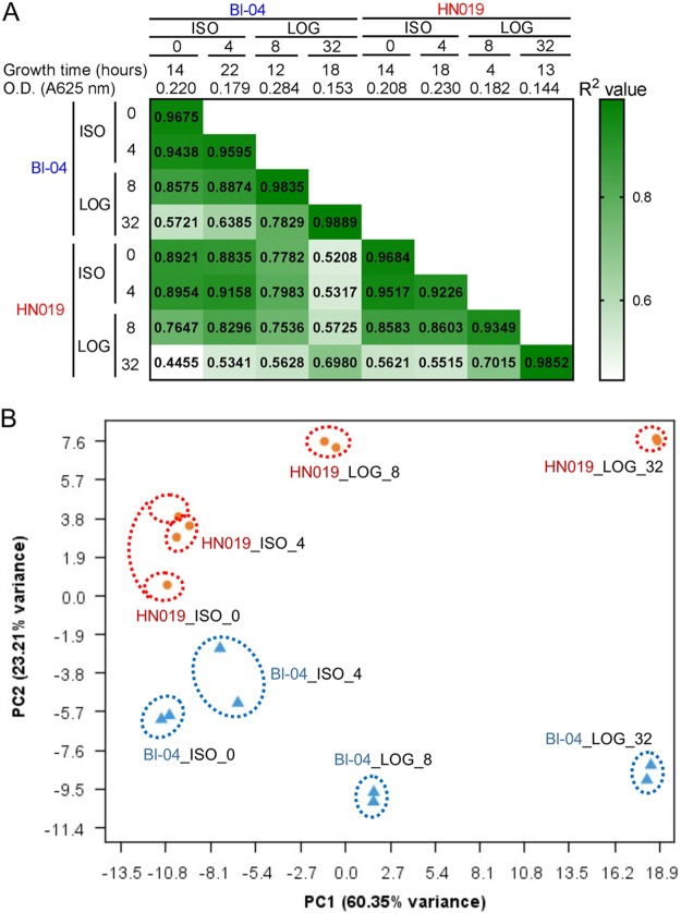 FIG 4