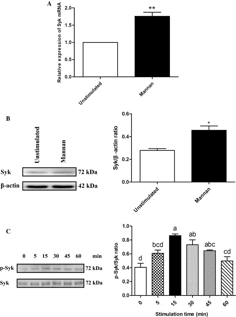 Figure 4