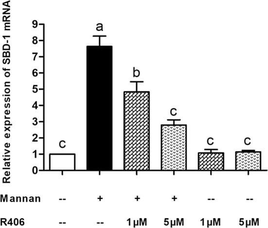 Figure 5