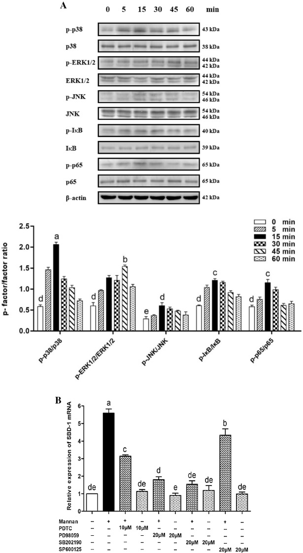 Figure 7