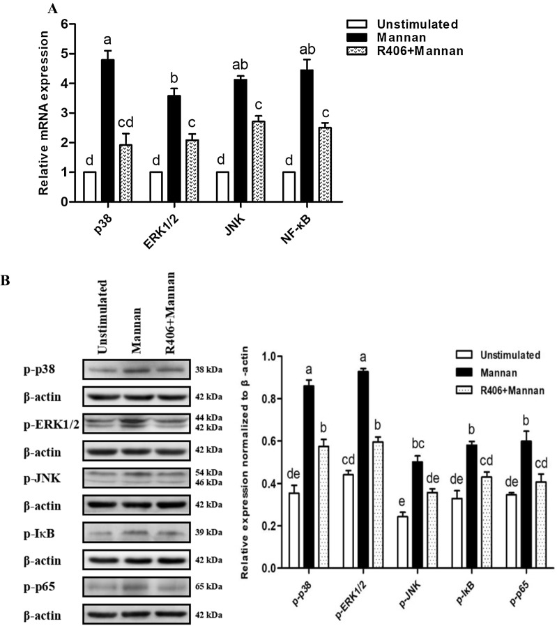 Figure 6