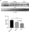 Figure 10.