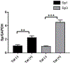 Figure 7.