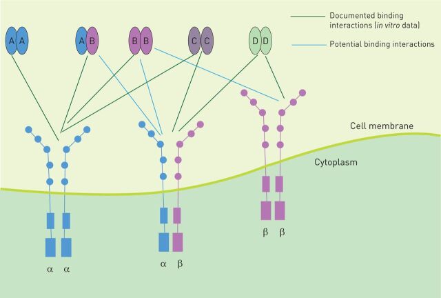 FIGURE 1