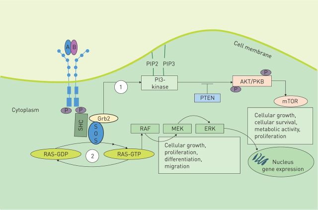 FIGURE 2