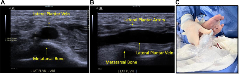 Fig 3