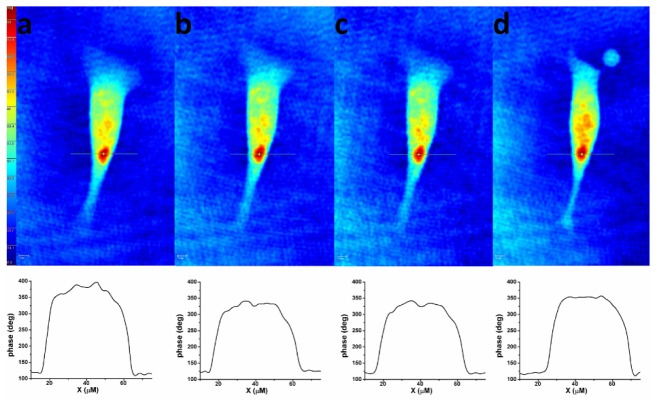 Fig. 3