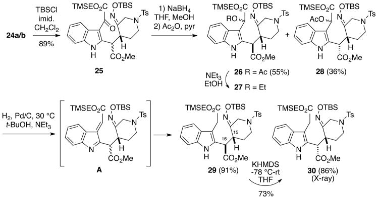 Scheme 5