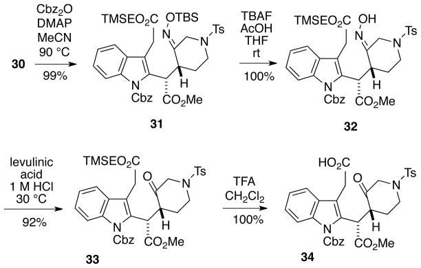 Scheme 6