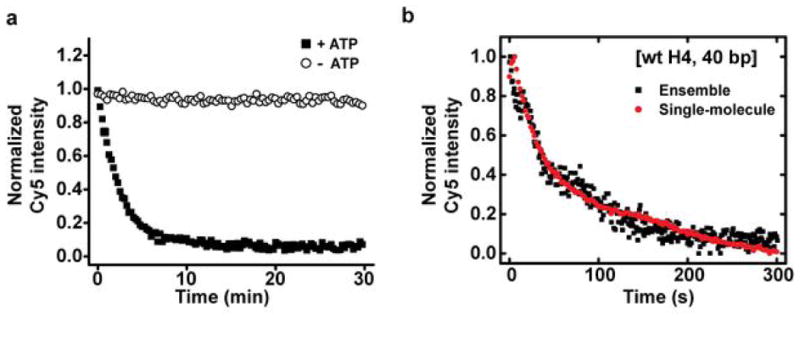 Extended Data Figure 1