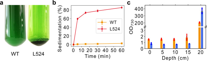 Fig. 4