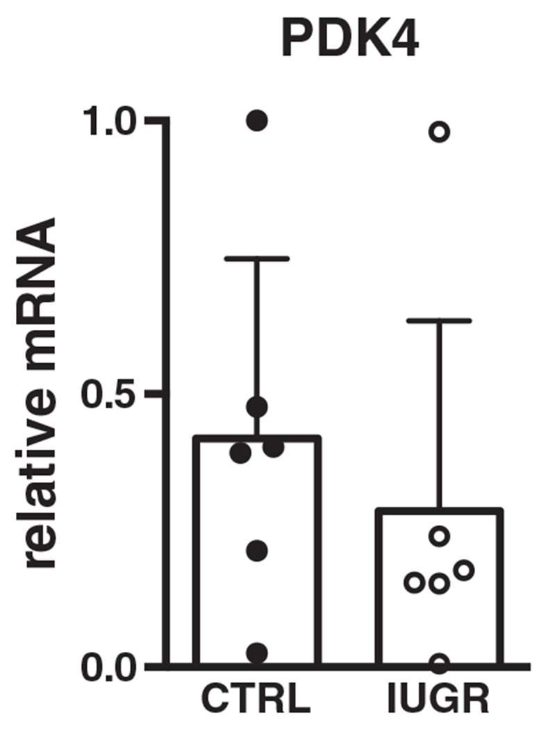 Figure 11.