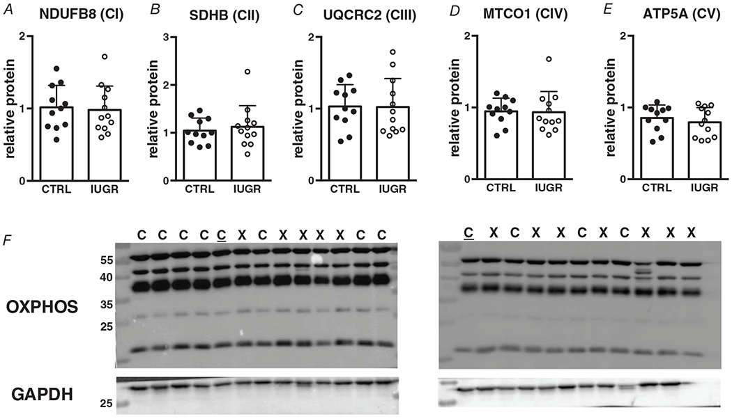 Figure 9.