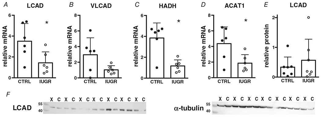 Figure 7.