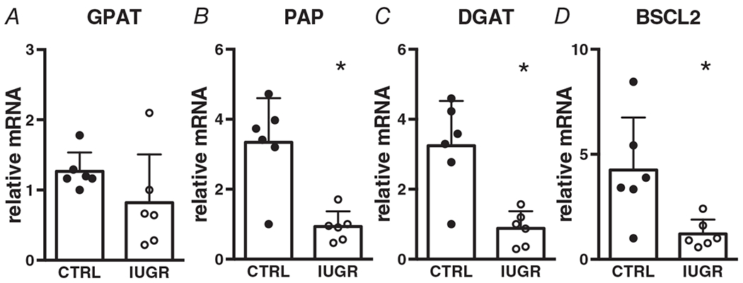 Figure 10.