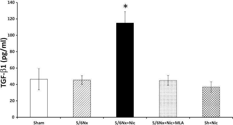 Fig. 7.