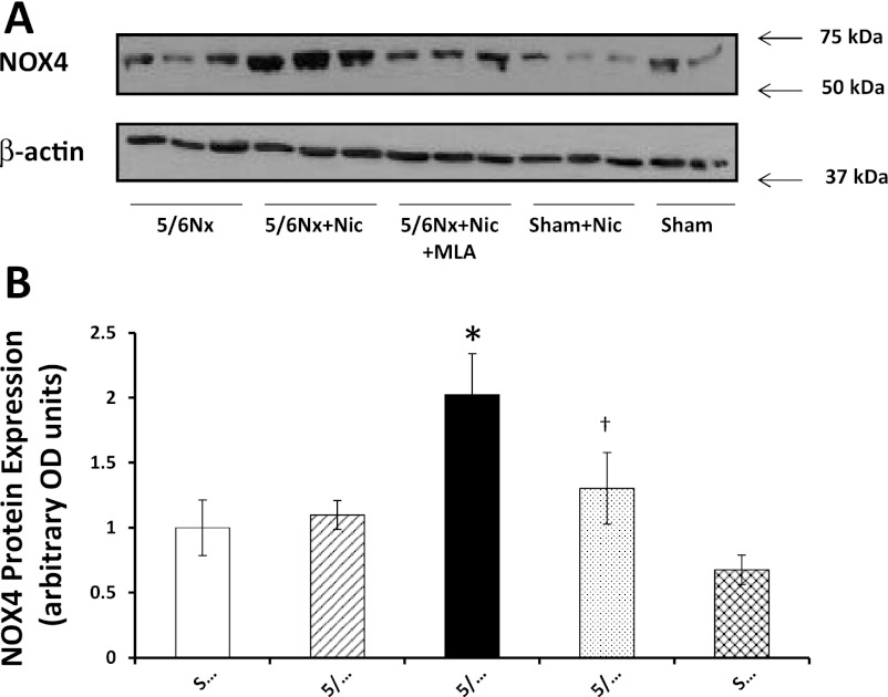 Fig. 9.