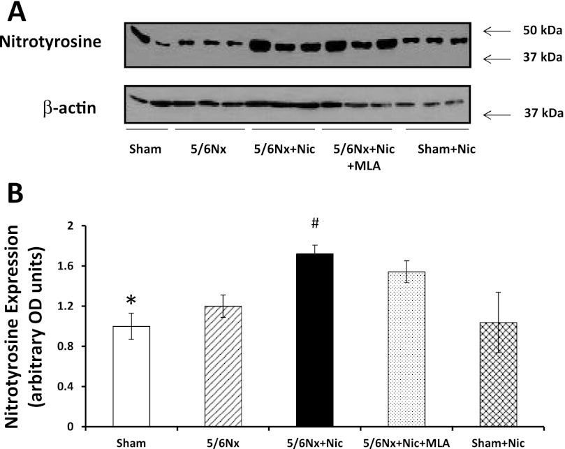 Fig. 8.