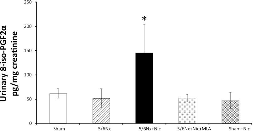 Fig. 10.