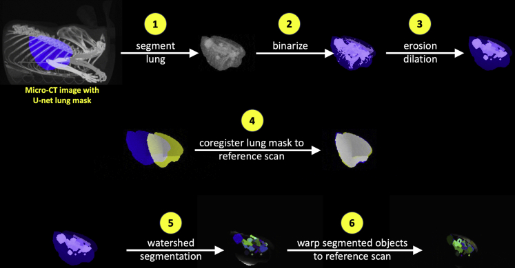 Figure 3