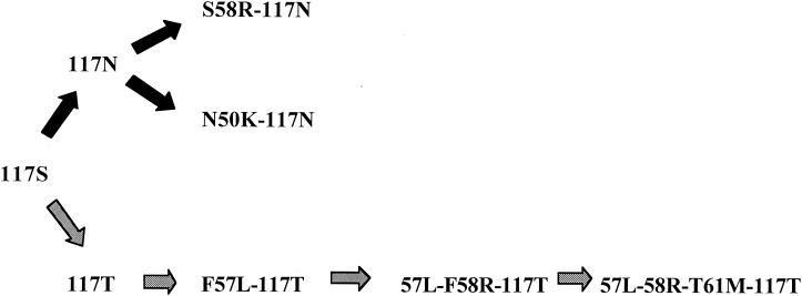 FIG. 1.