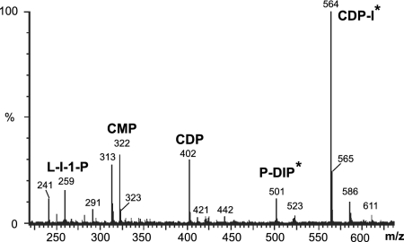 Fig. 5.