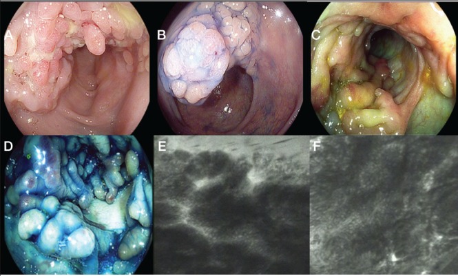 Figure 2)