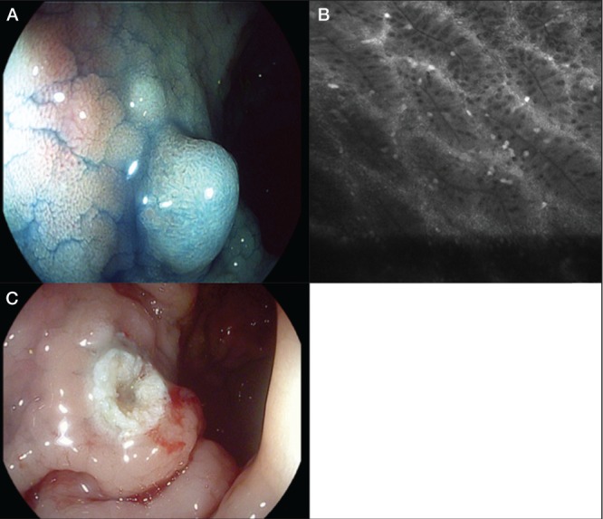 Figure 3)