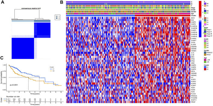 FIGURE 3