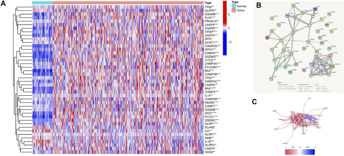 FIGURE 2