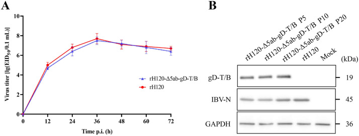 Fig 4