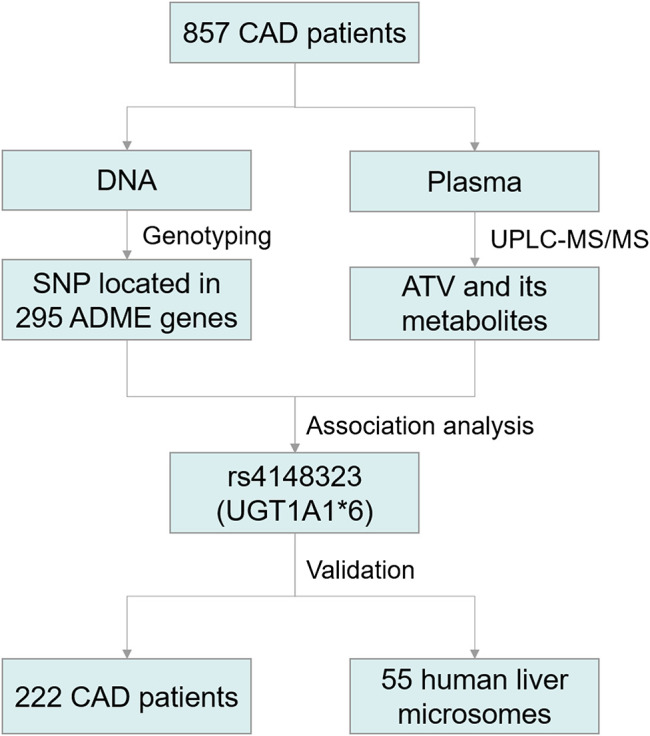 FIGURE 1