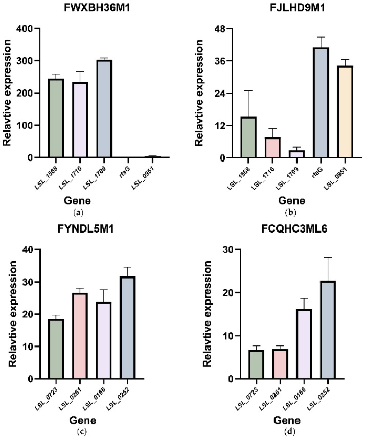 Figure 4