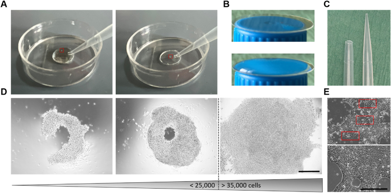 Figure 4