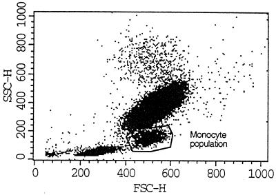 FIG. 1