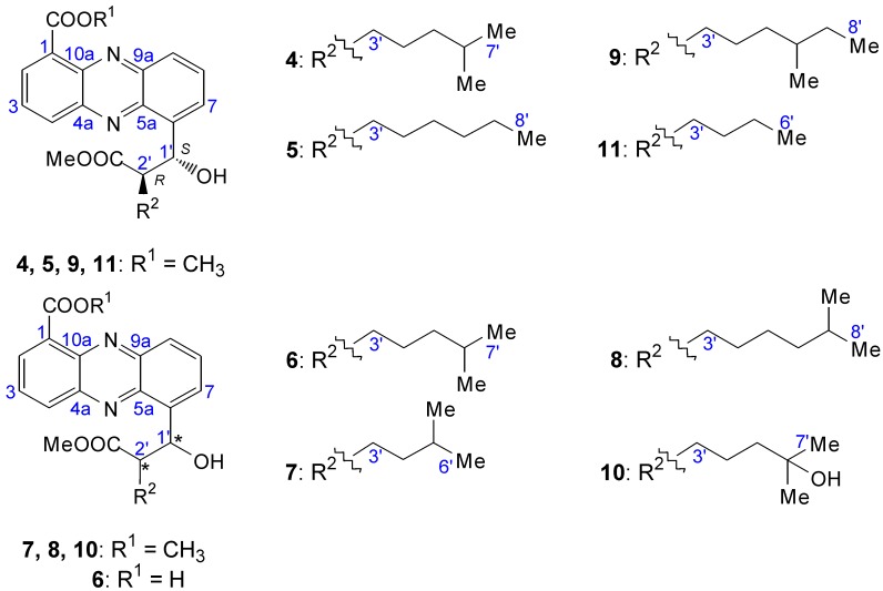 Figure 6